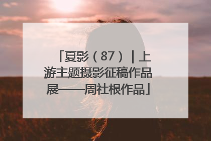 夏影（87）｜上游主题摄影征稿作品展——周社根作品