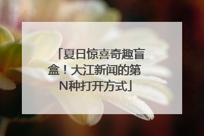 夏日惊喜奇趣盲盒！大江新闻的第N种打开方式