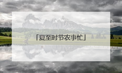 夏至时节农事忙