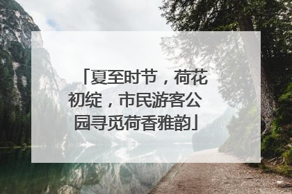 夏至时节，荷花初绽，市民游客公园寻觅荷香雅韵