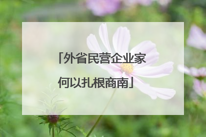 外省民营企业家何以扎根商南