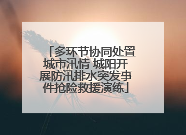 多环节协同处置城市汛情 城阳开展防汛排水突发事件抢险救援演练