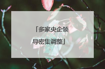 多家央企领导密集调整