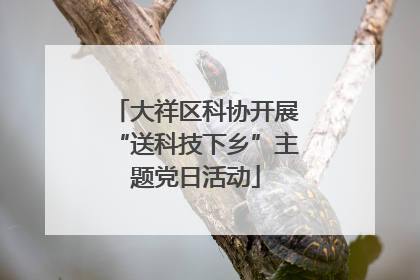 大祥区科协开展“送科技下乡”主题党日活动