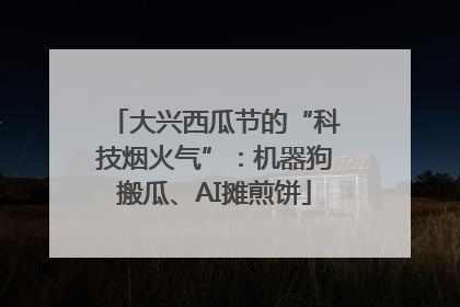 大兴西瓜节的“科技烟火气”：机器狗搬瓜、AI摊煎饼