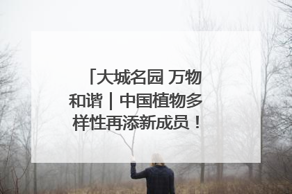 大城名园 万物和谐｜中国植物多样性再添新成员！它只在西藏墨脱