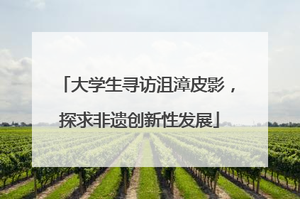 大学生寻访沮漳皮影，探求非遗创新性发展