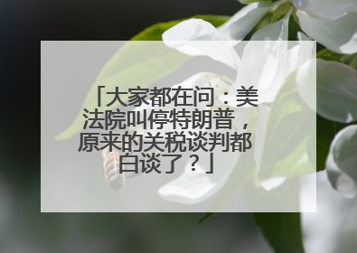 大家都在问：美法院叫停特朗普，原来的关税谈判都白谈了？