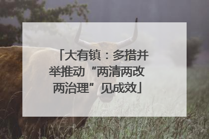 大有镇：多措并举推动“两清两改两治理”见成效