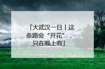 大武汉一日丨这条路会“开花”，只在晚上有
