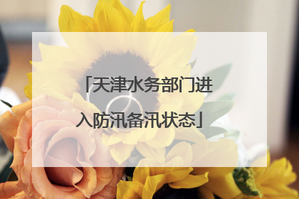 天津水务部门进入防汛备汛状态