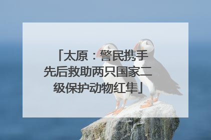 太原：警民携手 先后救助两只国家二级保护动物红隼