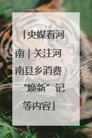 央媒看河南｜关注河南县乡消费“焕新”记等内容