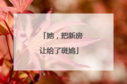 她，把新房让给了斑鸠