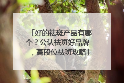 好的祛斑产品有哪个？公认祛斑好品牌，高段位祛斑攻略