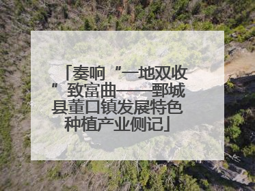 奏响“一地双收”致富曲——鄄城县董口镇发展特色种植产业侧记