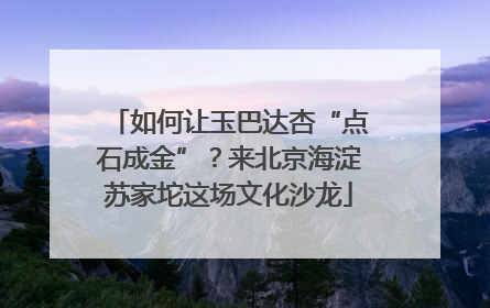 如何让玉巴达杏“点石成金”？来北京海淀苏家坨这场文化沙龙