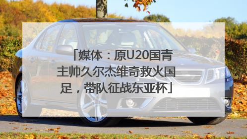 媒体：原U20国青主帅久尔杰维奇救火国足，带队征战东亚杯