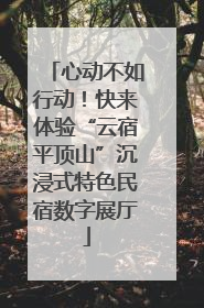 心动不如行动！快来体验“云宿平顶山”沉浸式特色民宿数字展厅