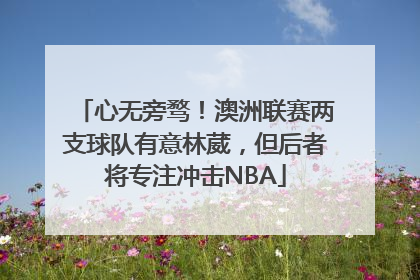 心无旁骛！澳洲联赛两支球队有意林葳，但后者将专注冲击NBA