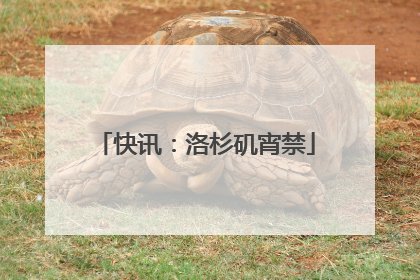 快讯：洛杉矶宵禁
