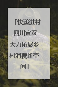 快递进村 四川宣汉大力拓展乡村消费新空间