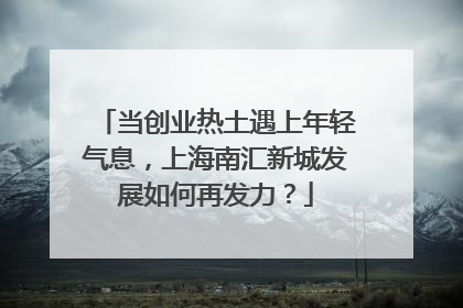 当创业热土遇上年轻气息，上海南汇新城发展如何再发力？