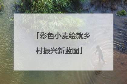 彩色小麦绘就乡村振兴新蓝图