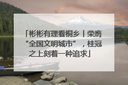 彬彬有理看桐乡丨荣膺“全国文明城市”，桂冠之上刻着一种追求