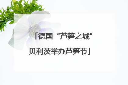 德国“芦笋之城”贝利茨举办芦笋节
