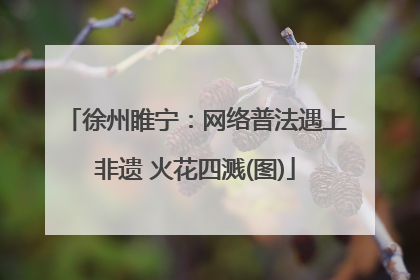 徐州睢宁：网络普法遇上非遗 火花四溅(图)
