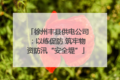 徐州丰县供电公司：以练促防 筑牢物资防汛“安全堤”