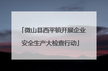 微山县西平镇开展企业安全生产大检查行动