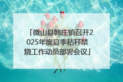 微山县韩庄镇召开2025年度夏季秸秆禁烧工作动员部署会议