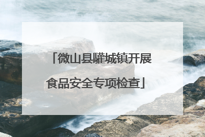 微山县驩城镇开展食品安全专项检查