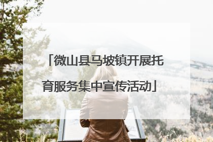 微山县马坡镇开展托育服务集中宣传活动