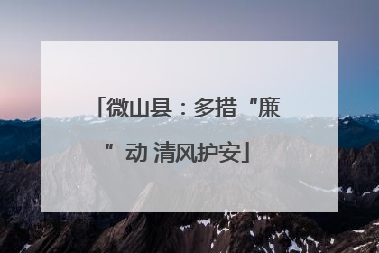 微山县：多措“廉”动 清风护安