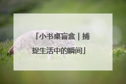 小书桌盲盒｜捕捉生活中的瞬间