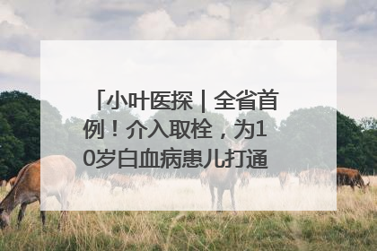 小叶医探｜全省首例！介入取栓，为10岁白血病患儿打通生命之“脉”