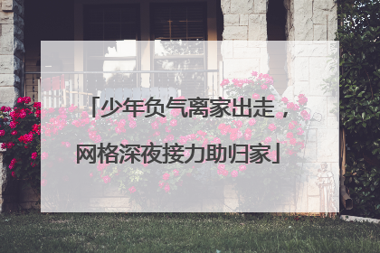 少年负气离家出走，网格深夜接力助归家