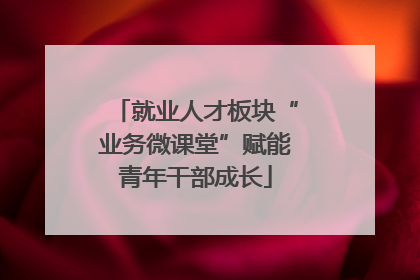 就业人才板块“业务微课堂”赋能青年干部成长