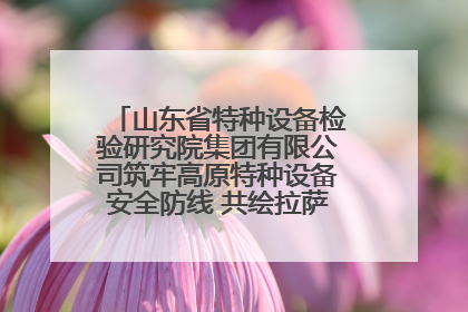 山东省特种设备检验研究院集团有限公司筑牢高原特种设备安全防线 共绘拉萨美好生活画卷