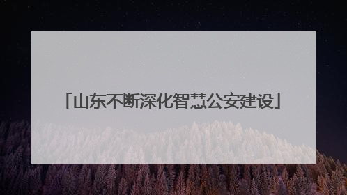 山东不断深化智慧公安建设