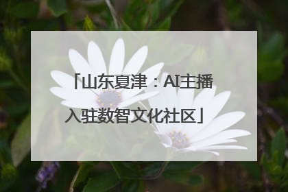 山东夏津：AI主播入驻数智文化社区