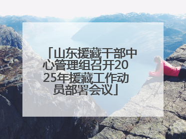 山东援藏干部中心管理组召开2025年援藏工作动员部署会议
