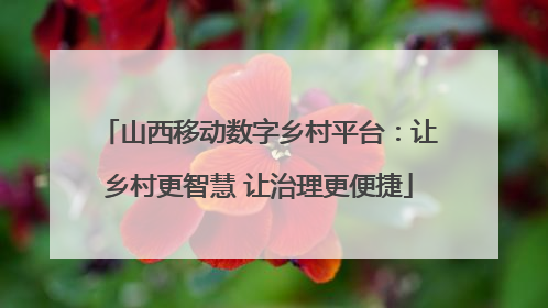 山西移动数字乡村平台：让乡村更智慧 让治理更便捷