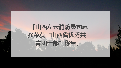 山西左云消防员司志强荣获“山西省优秀共青团干部”称号