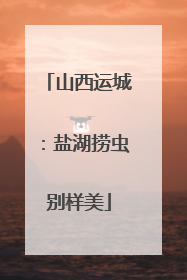 山西运城：盐湖捞虫别样美