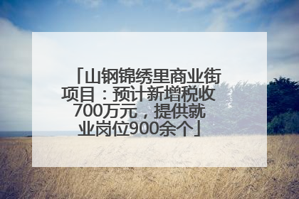 山钢锦绣里商业街项目：预计新增税收700万元，提供就业岗位900余个