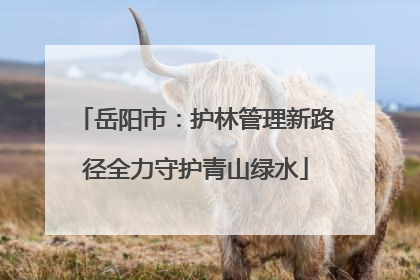 岳阳市：护林管理新路径全力守护青山绿水